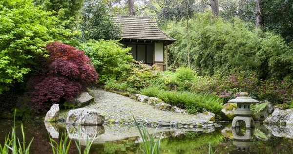 Pinetum Gardens