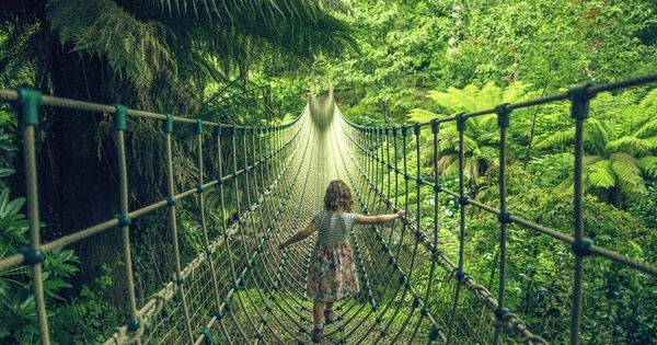 The Lost Gardens Of Heligan