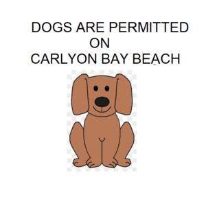 CARLYON BAY BEACH UPDATE (Verified)